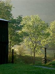 ferguson farm nc