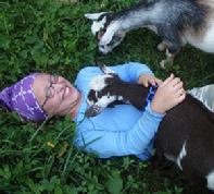 bullock with kids